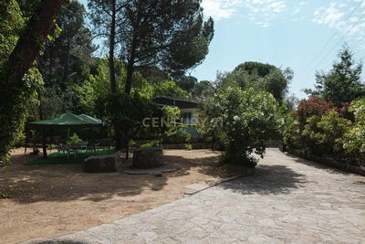 /international/es/pelayos-de-la-presa-madrid-310101206604/?lang=it