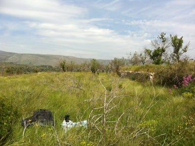 /international/es/benissa-valencian-community-120089598104/