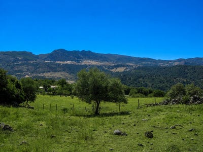 /international/es/cortes-de-la-frontera-andalusia-310108377598/