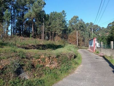 /international/es/salvaterra-de-mino-galicia-310108162686/