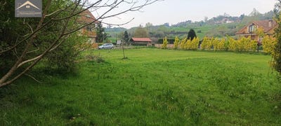 /international/es/udias-cantabria-310108834119/