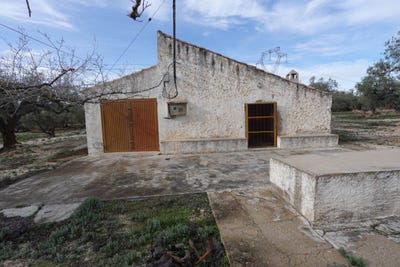 /international/es/disseminat-ulldellops-portimao-catalonia-310105809463/