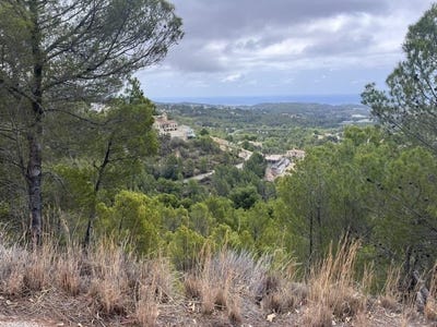 /international/es/altea-la-vella-valencian-community-310108429567/
