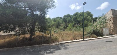 /international/es/10-c-tejo-p-c-pinar-de-campoverde-valencian-community-310106743723/