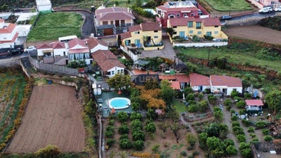 /international/es/san-miguel-de-abona-canary-islands-310106707549/