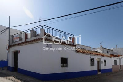 /international/es/campo-de-criptana-castile-la-mancha-310101282890/