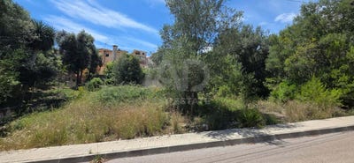 /international/es/carrer-de-son-puca-campanet-balearic-islands-310108181899/