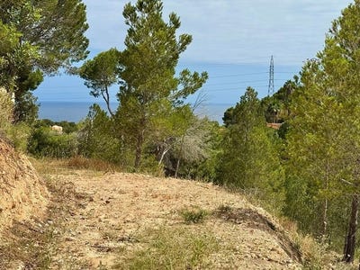 /international/es/altea-valencian-community-310108865515/