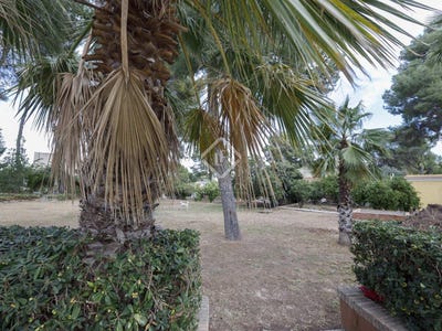 /international/es/paterna-valencian-community-120088944726/