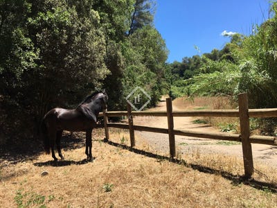 /international/es/sant-cugat-del-valles-catalonia-310098142902/