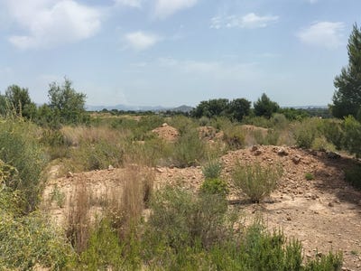 /international/es/vilamarxant-valencian-community-310105829354/