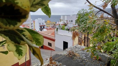 /international/es/santa-cruz-de-la-palma-canary-islands-310102584977/