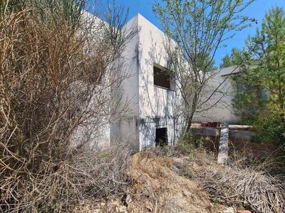 /international/es/querol-catalonia-310101354475/?lang=zh-tw