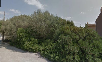 /international/es/llucmajor-balearic-islands-310096674234/