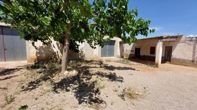 /international/es/amposta-catalonia-310104227806/