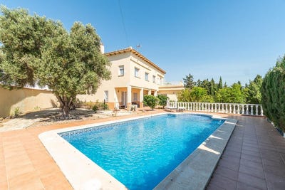 /international/es/torrevieja-valencian-community-310101155710/?lang=zh-tw