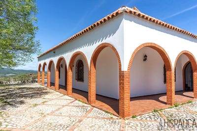 /international/es/cantillana-andalusia-310099630732/?lang=de
