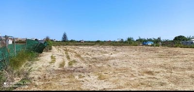 /international/es/cullera-valencian-community-310105743675/