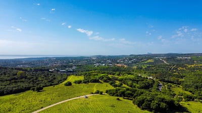 /international/es/sotograndecadiz-andalusia-310107469793/