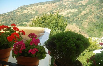 /international/es/capileira-andalusia-310102887892/