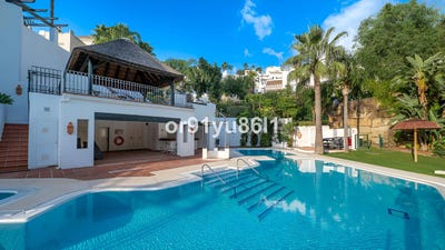 /international/es/istan-andalusia-310100239853/