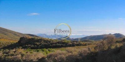 /international/es/lorca-region-of-murcia-310101386722/