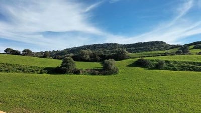/international/es/es-mercadal-illes-balears-baleares-120095310205/