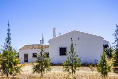 /international/es/san-silvestre-de-guzman-andalusia-120054224259/