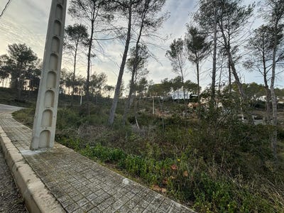 /international/es/olivella-catalonia-310107524369/