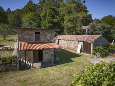 /international/es/pineiro-tomino-galicia-310101130699/