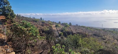 /international/es/fasnia-canary-islands-310105240043/