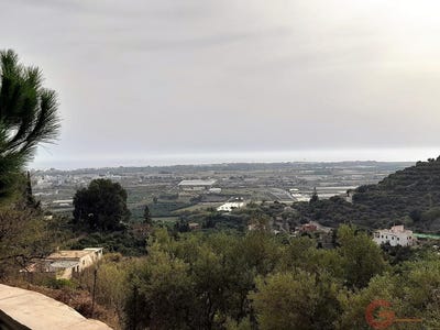 /international/es/motril-andalusia-310101514937/