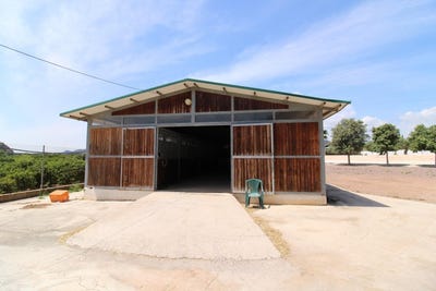 /international/es/almenara-valencian-community-310105743774/