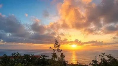 /international/es/realejos-los-canary-islands-310108992225/