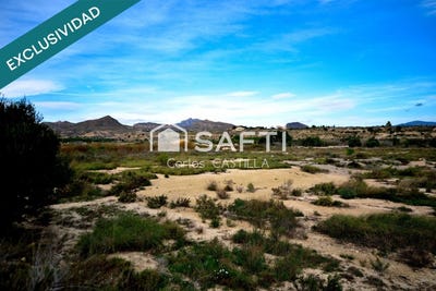 /international/es/san-vicente-del-raspeig-valencian-community-310105739224/