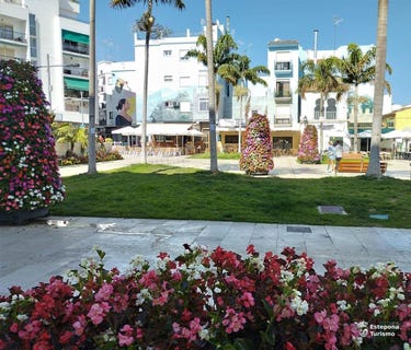 /international/es/pona-andalusia-310096504489/?lang=zh-cn