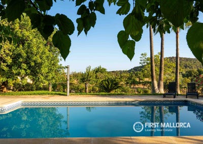 /international/es/334-diseminado-disseminats-poligon-3-alaro-balearic-islands-310109940969/