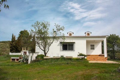 /international/es/azuaga-extremadura-310104144788/