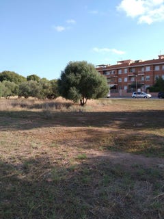 /international/es/cubelles-catalonia-310107562168/
