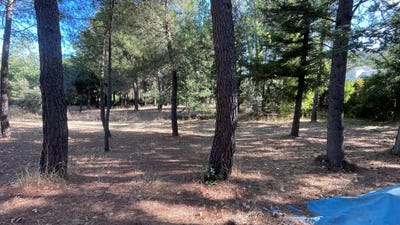 /international/es/calle-juan-ramon-jimenez-robledo-de-chavela-madrid-310107702369/