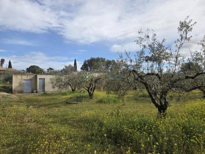 /international/es/beniganim-valencian-community-310109015382/