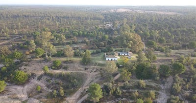 /international/es/almonte-andalusia-310104398694/