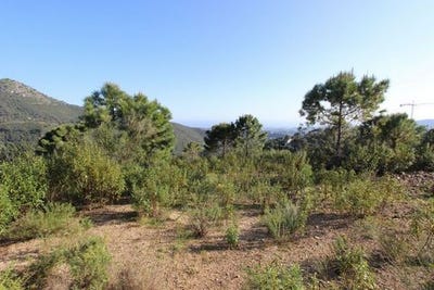 /international/es/benahavis-andalusia-310106464003/
