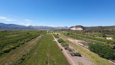 /international/es/monte-pego-valencian-community-310107294734/