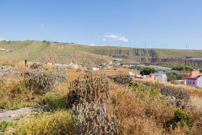 /international/es/palmas-de-gran-canaria-las-canary-islands-310108429190/