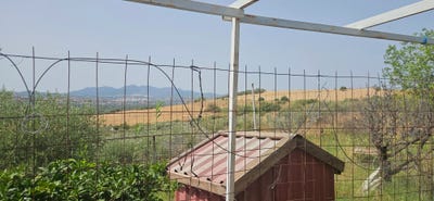 /international/es/cartama-andalusia-310102831703/