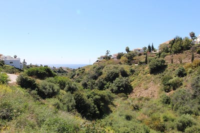 /international/es/el-rosario-canary-islands-310097798870/