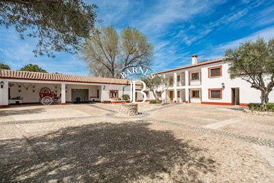 /international/es/alcazar-de-san-juan-castile-la-mancha-310107522056/