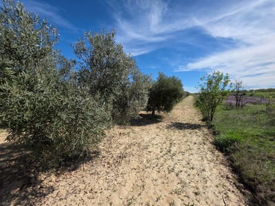 /international/es/diseminado-torrentas-calasparra-region-of-murcia-310108321133/