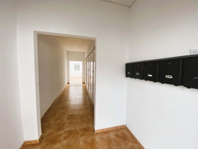 /international/es/calle-jardines-chiclana-de-la-frontera-andalusia-310105379605/
